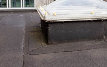disadvantages of Raf Coltishall flat roofs